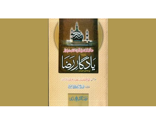 Yaadgaar e Raza 2014 / یادگارِ رضا